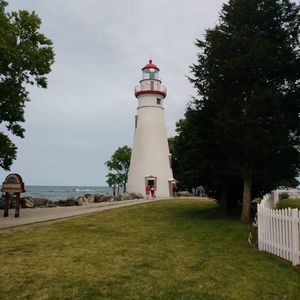 Meet your Posher, Lynn